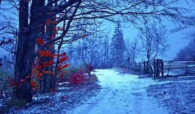 Foto jigsaw puzzle