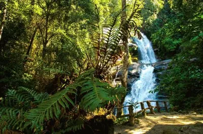 Foto jigsaw puzzle