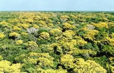 Foto jigsaw puzzle