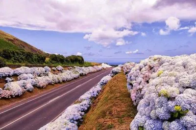 imagem jigsaw puzzle