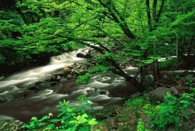 Foto jigsaw puzzle