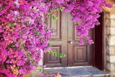 imagem jigsaw puzzle