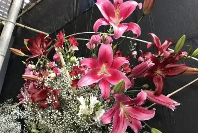 LÃ­rios jigsaw puzzle