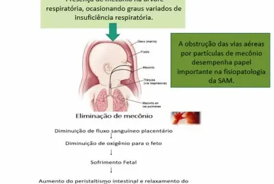 Quebra-cabeÃ§a 2 jigsaw puzzle