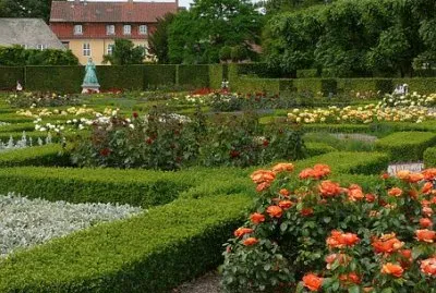 Foto jigsaw puzzle