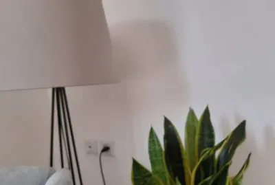 ×¤××–×œ ×ž×¡×¤×¨ 5