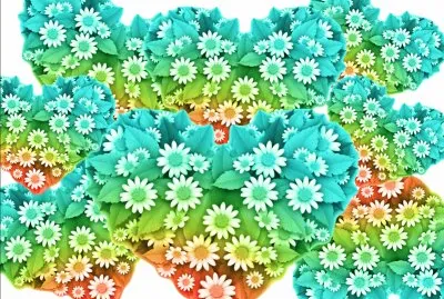 Fleurs