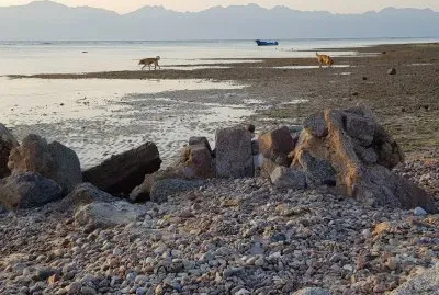 Seaside