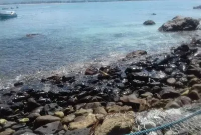 Playa Isla de Coral jigsaw puzzle