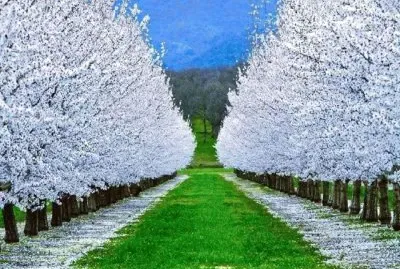 imagem jigsaw puzzle