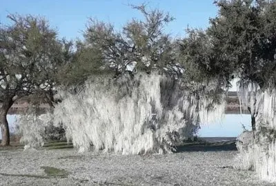 imagem jigsaw puzzle