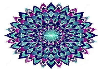 893