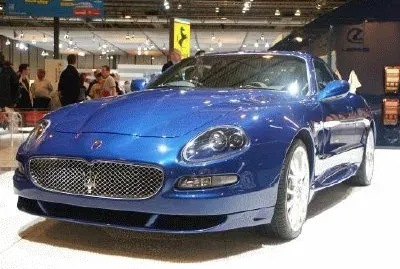 Toy