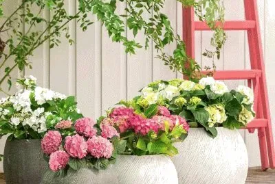 Toy jigsaw puzzle