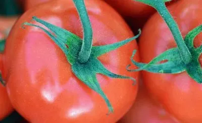 Imagem jigsaw puzzle