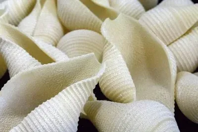 Imagem jigsaw puzzle