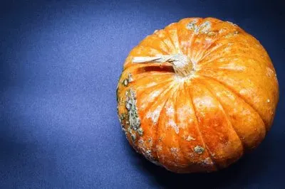 Imagem jigsaw puzzle