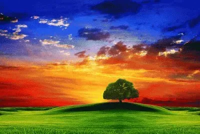 Imagem jigsaw puzzle
