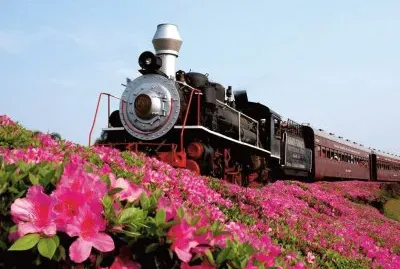 6 jigsaw puzzle