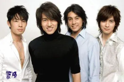 TW - F4 jigsaw puzzle