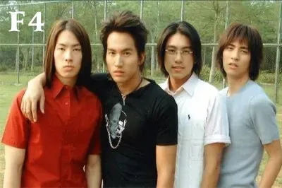 TW - F4 jigsaw puzzle