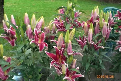 Bellezas con que nos deleita la Madre Naturaleza