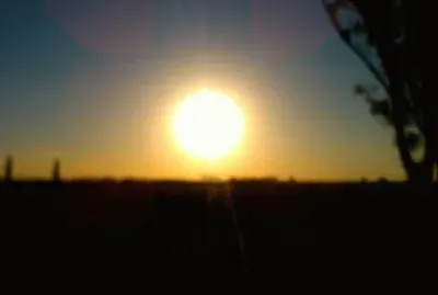 libremente jigsaw puzzle