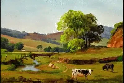 JR 204