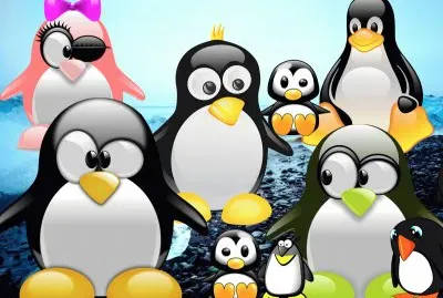 Pingouins jigsaw puzzle