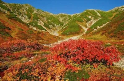 imagem jigsaw puzzle