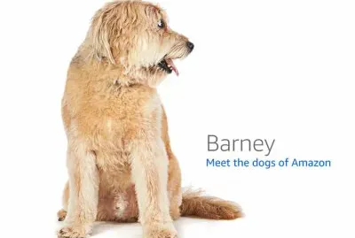 barney jigsaw puzzle