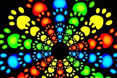 Explosion couleurs