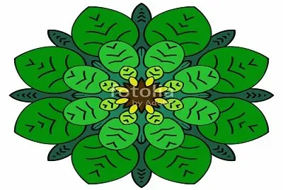 1119