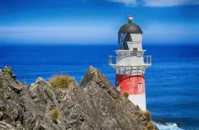 NATUREZA jigsaw puzzle