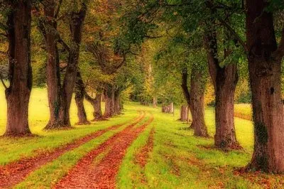 Foto jigsaw puzzle