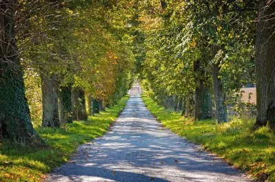 Foto jigsaw puzzle