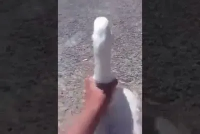 el ganzo