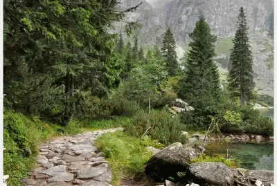 SENDERO jigsaw puzzle