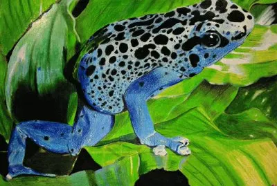 Dal dardo velenoso jigsaw puzzle