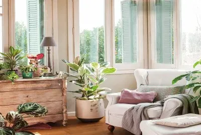 plantas jigsaw puzzle