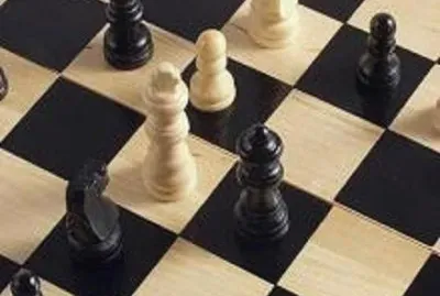 Toy