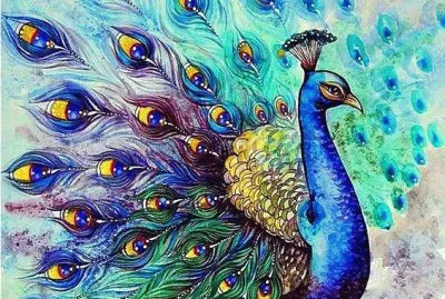 Beautyful Peacock