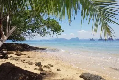 vzla