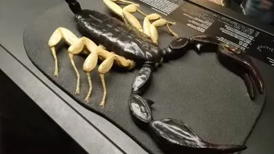 Danger jigsaw puzzle