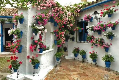Patio de Cordoba