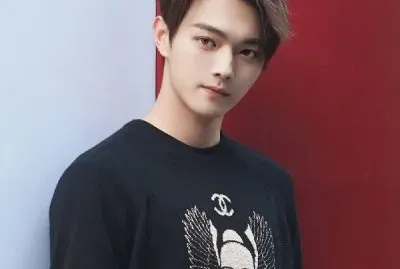 puzzle jigsaw puzzle