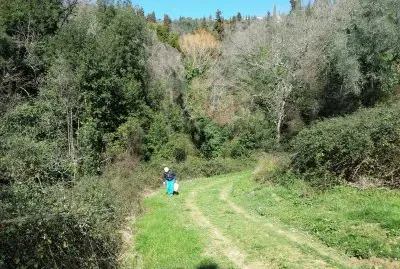 COLLINE di P.di CONCA