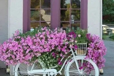 naturaleza