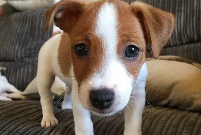 â™¥