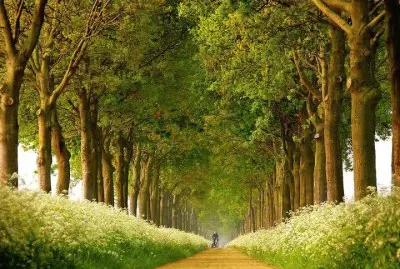 imagem jigsaw puzzle